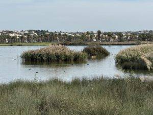 Golfplatz direkt dahinter