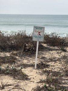 Betreten der Dünen nicht erwünscht