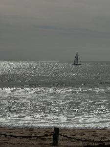 Segeln mit Dieselgenua