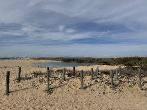 Schöne Strand- und Dünenlandschaft