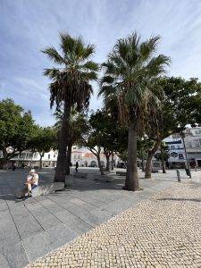 Largo Engenheiro Duarte Pacheco