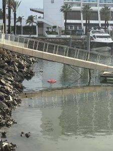 Losgerissener Rettungsring