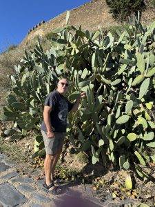Mein kleiner, grüner Kaktus