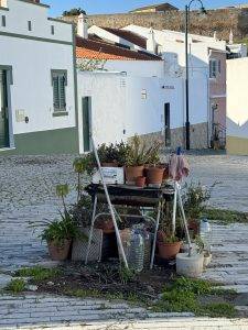 Gärtnern mitten auf der Straße