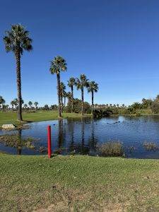 Die Teiche sind gut gefüllt