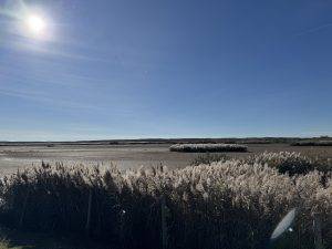 Ups, die Langune ist leer