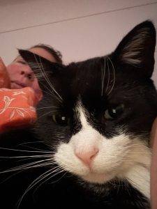 Wach auf! Ich will Frühstück!!!