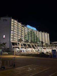 Hier schmückt man Palmen