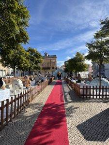 Weihnachtsdeko in Loulé