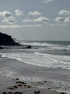 Wilde See