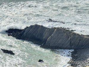 Ein schuppiges Seemonster lauert hier