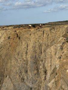 …klettern ein paar Ziegen