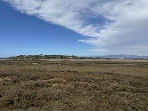 Spaziergang durch die Salzwiesen