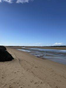 Lagune von Alvor bei Niedrigwasser