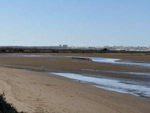 Blick Richtung Lagos