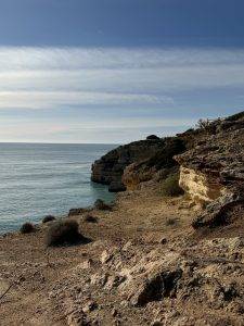 Die Felsalgarve ist einzigartig