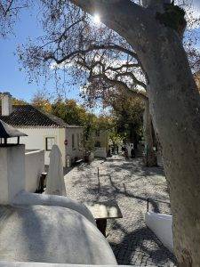 Ausflug nach Caldas de Monchique