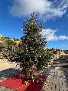 Weihnachtsbaum am Strand (Foto von Andrea Eck)