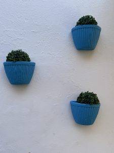 Bubbikopf oder Grobi?