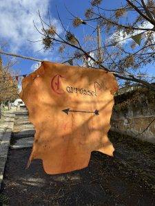 Leider sind wir zu groß