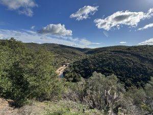 Der Riberia de Quarteira