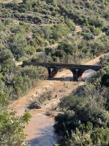 Dank Regen ein reißender Bach