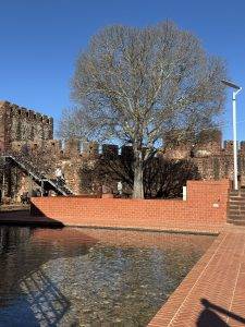 Auch hier sind viele Bäume im Winterkleid