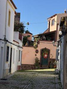 Wachhund auf der Mauer