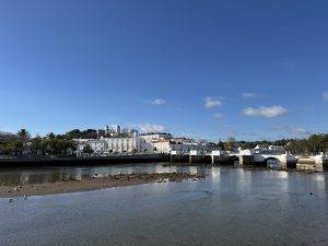 Festungsberg und römische Brücke