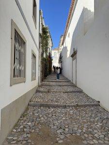 Was bestaunt Laura denn da?