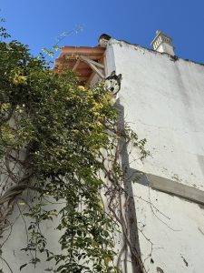 Und wer bestaunt Laura?