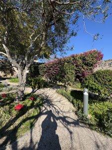 Ist schon Frühling?