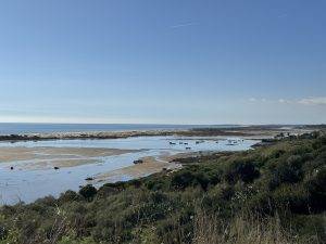 Lagune bei Niedrigwasser