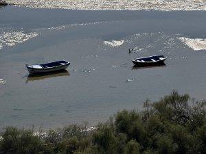 Warten auf den großen Fang