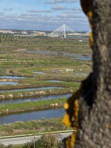 Brücke über den Guadiana