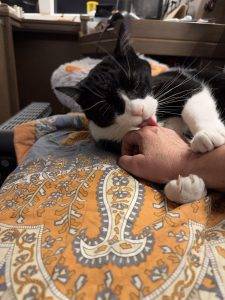 Nee, war nur abgerutscht!