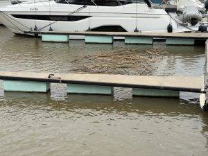 Treibgut in der Marina