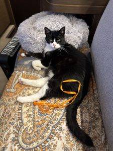 Lieblingsplatz am Abend