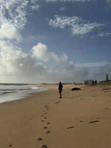 Zum Glück gibt’s immer mal wieder schönes Wetter