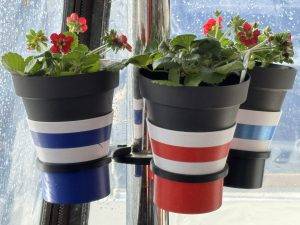 Die Erdbeeren blühen