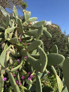 Co-Existenz unter blauem himmel