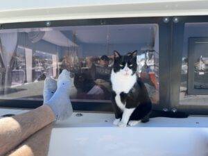 Und leistet uns Gesellschaft in der Sonne