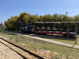 Schmalspurbahn durch die Dünen