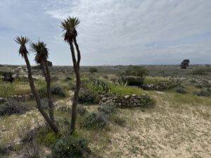 Naturschutzgebiet Ria Formosa