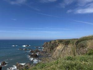Blau in allen Facetten