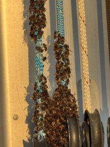 Bienen als blinde Passagiere