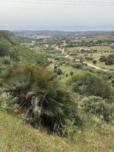 Radtour ins Hinterland