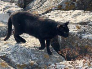 Bewegt sich!
