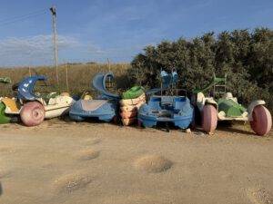 Tretboot-Friedhof