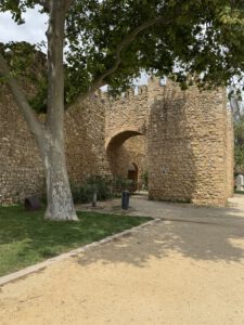 Porta de São Gonçalo